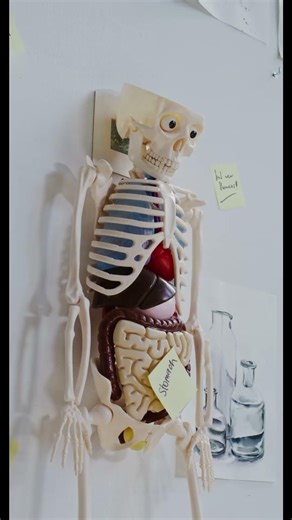 영양제, 이렇게 먹으면 돈 낭비입니다!