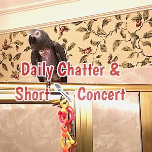 27K views · 1.4K reactions | Tune in for a fun day with Einstein as...