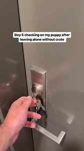 8K views · 367 reactions | Day 5 and he’s still nested in his crate! His little smiles when he gets excited are the best. Should I try keeping the door to his crate shut one time#50#doglover #dogoftheday #doglife #fyp #foryou #reels #PetsofInstagram #PetsOfFacebook #PetVideos #CuteAnimals #FunnyPets #PetLovers #AnimalFriends #PetLife #FurryFriends #AdorablePets #AnimalRescue | Cactus Therescue | Facebook