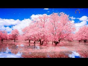 Top relaxing music 클래식명곡 연속듣기 조용하고 듣기좋은 클래식 모음 시간연속 #조용한클래식 #카페에서 듣기 좋은 노래
