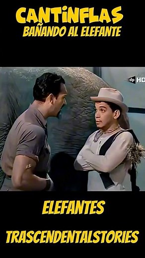 Cantinflas bathes the elephant