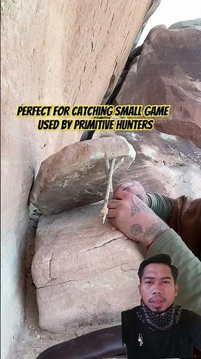 How the Paiute Deadfall Trap Works | Primitive Survival Skill Explained. #paiutedeadfall #bushcraft