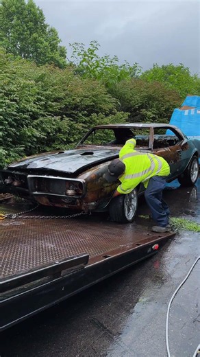 1968 Pontiac Firebird, I’m calling FiredBird #hotrod #firebird #restoration #pontiac #fire