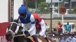 Saturday 6th Dec Week End International 2014. 🎥: Mauritius Turf Club | Mauritius Turf Passionates