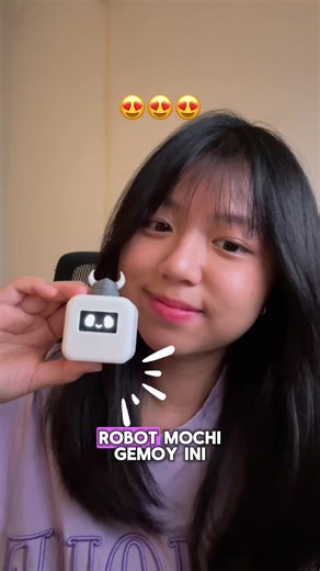 Meeting the Mochi Robot for the First Time!