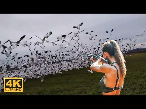 Full Video 4K : TOP GOOSE HUNTS - How Hunters Deal With Millions Of GOOSE #hunting #goosehunting