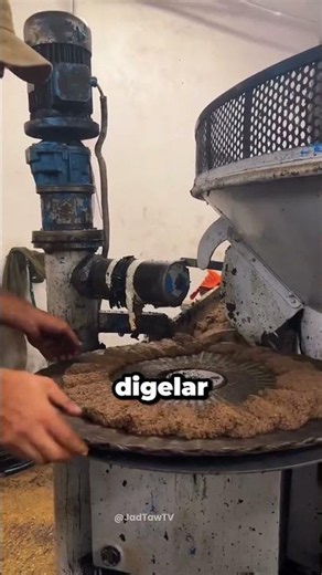This is how olive oil is extracted
