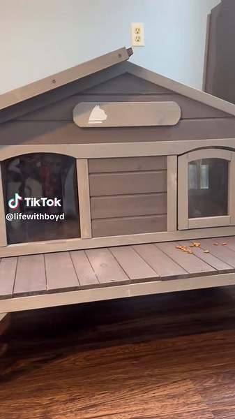 Heated Cat House for Outdoor Critters and Cats