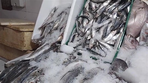 مباشرة من مراكش: السردين أو حوت الفقراء داير 20 درهم و الشرن 25 درهم للكيلو..الطراوة مضمونة والأثمنة متفاوتة | Chouf TV En Direct