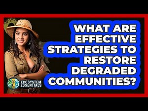 What Are Effective Strategies To Restore Degraded Communities? - Ecosystem Essentials