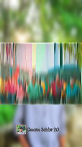 459K views · 20K reactions | বাইরের কোন এক হালায় সিনিওর দের গারায় যাইবো এইডা তো আমি মানমু না..? | SHEIKH SABBIR | Facebook