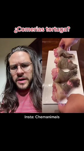 Cooking Turtle: A Step-by-Step Culinary Guide