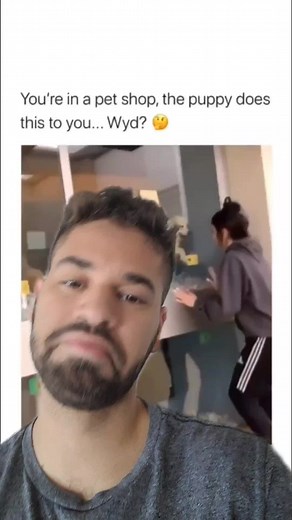 Heartwarming Dog Adoption Moment Caught on Camera