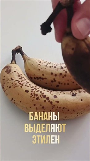 Как хранить бананы, чтобы они не чернели
