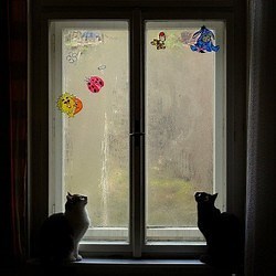4 façons d'aider un chat qui a peur de l'orage
