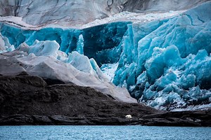 Fjordsafari til Nordenskiöldbreen | Svalbard Adventures