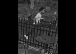 24K views · 55 reactions | We are releasing video footage of a July...