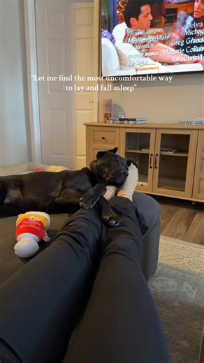 The Joy of Watching a Puppy Fall Asleep