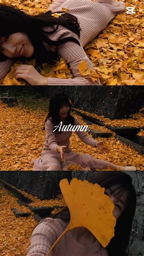 藤井まゆ フリーランスモデル ＆ 司会 ナレーター on Instagram: "イチョウで遊んでみた🥰 #イチョウの木の下で #イチョウの絨毯 #イチョウの葉 #ポートレートムービー #佐賀ポートレート"