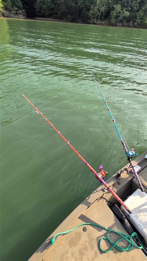 Catfishing Techniques for Flathead and Blue Catfish