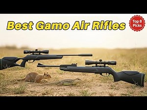 8 Best Gamo Air Rifles For Hunting Small Game