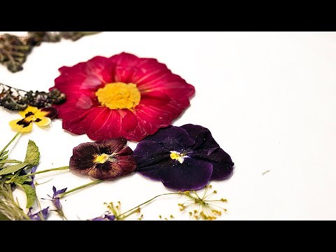 4 Ways to Press Flowers for Art and Home Decor - How to Dry Flowers and Keep Their Color