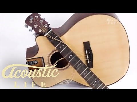 Journey Instruments Travel Guitar Review