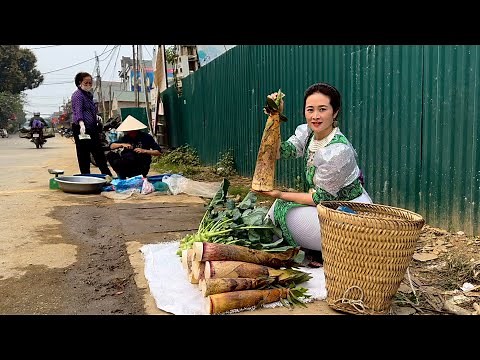 Harvesting Bamboo Shoots, Broccoli, Bring to the market to sell, Gardening, Growing vegetables