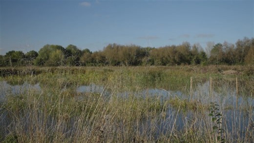 1.1K views · 22 reactions | The Freshwater Network will make our...