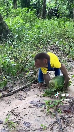 #😂 #monkey #cute #pets #fyp