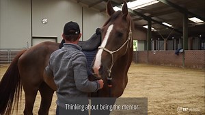 208 reactions · 12 shares | I have had a job for the last 20 odd...