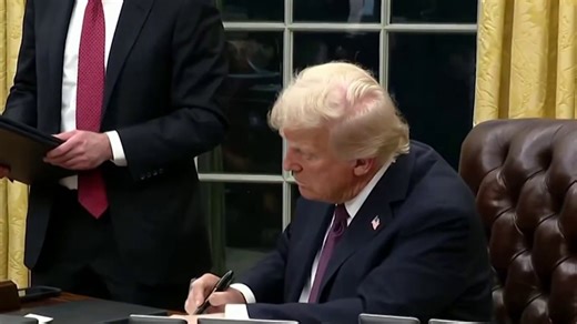 DEI, Project 2025 and the Constitution: Tracking Trump's impact in his first 100 days