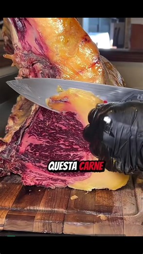 Scopri di più su 'neiperte' e la sua importanza