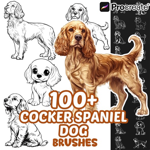 Procreate Cocker Spaniel Dogs Animals Brushes, 100  Cocker Spaniel Dog Animal Procreate Stamps, Nature Procreate, Pet Animals, Dogs Species - Etsy