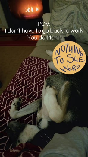 Snow ❄️ Break 2026 Complete! Back to School! #teachersoftiktok #momsoftiktok #teacherlife #dogmomlife