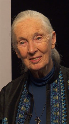 From the NatGeo archives: Jane Goodall demonstrates her world-famous chimp call. | National Geographic Documentary Films