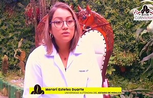 25K views · 366 reactions | Noticia de última hora. | Eroy fontes | Facebook