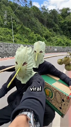 Lotus leaf face mask that is currently viral