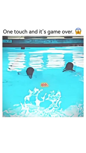 Movie_Reel_Vault | Marvel’s Agents of S.H.I.E.L.D. Year: 2013–2020 Where to watch: Disney+ Amazon Prime Video (rent/buy) Apple TV (rent/buy) Overview: After... | Instagram