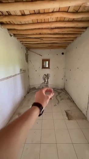 Waist Twisting Disc Fitness Balance Equipment Adult Waist Twisting Plate Slimming Training 360 Degree Rotation Exerciser CLICK BUY HERE  https://s.click.aliexpress.com/e/_DkUeHpt | Fighting Animal | Facebook