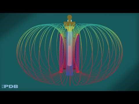 Methods for Determining Atomic Structures: NMR Spectroscopy (from PDB-101)