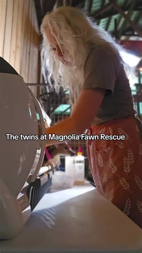 Saving Orphaned Fawns: The Impact of Your Donations