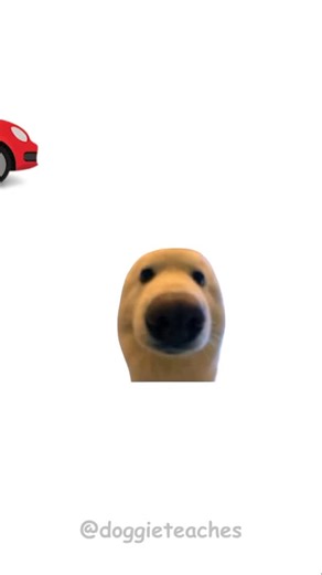 631K views · 18K reactions | Doggie Explains How to Get a Free Car...