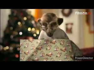 Compare The Meerkat Sponsorship Christmas Compilation
