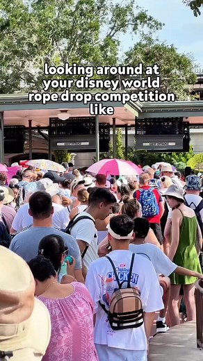 Your Disney World Rope Drop Competition #waltdisneyworld | Robyn Morris | Facebook