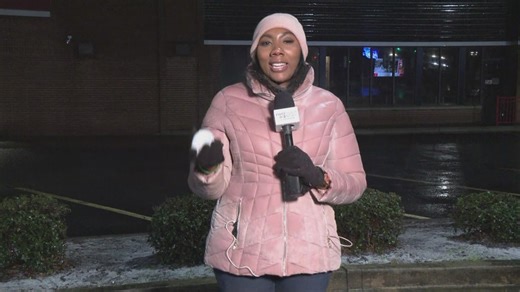 Snow and ice come to Brunswick during winter storm