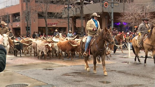 Bull riders and fighters injured at National Western Stock Show