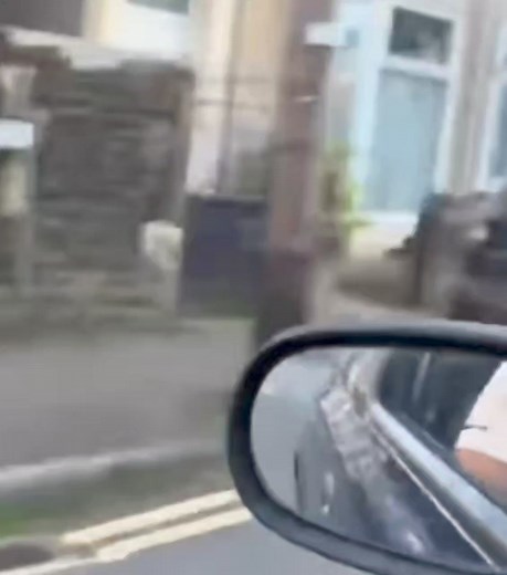 1K views · 26 reactions | Tony Gooch on Reels | Facebook