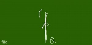 Sanjana placed a current carrying long straight conductor P Q p... | Filo