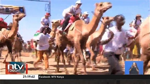 All Set For Maralal Camel Derby: The Maralal International Camel Derby is set for the 25th to 28th of September this year. This event is expected to attract tourists and unite locals in celebration of culture, heritage, and sporting activities. #NTVTonight | NTV Kenya